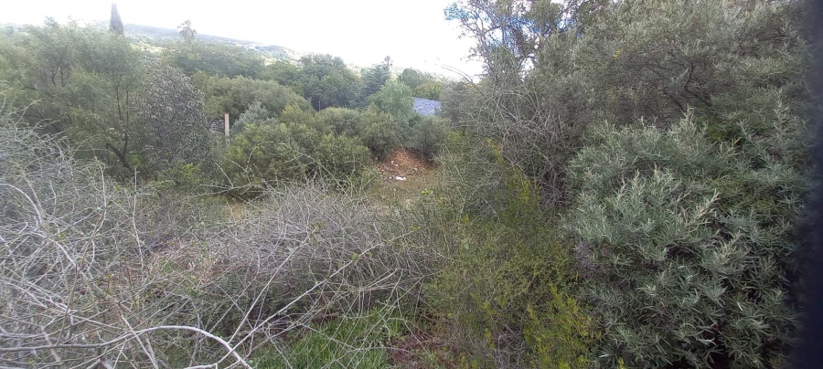 0 Bedroom Property for Sale in Bayswater Free State